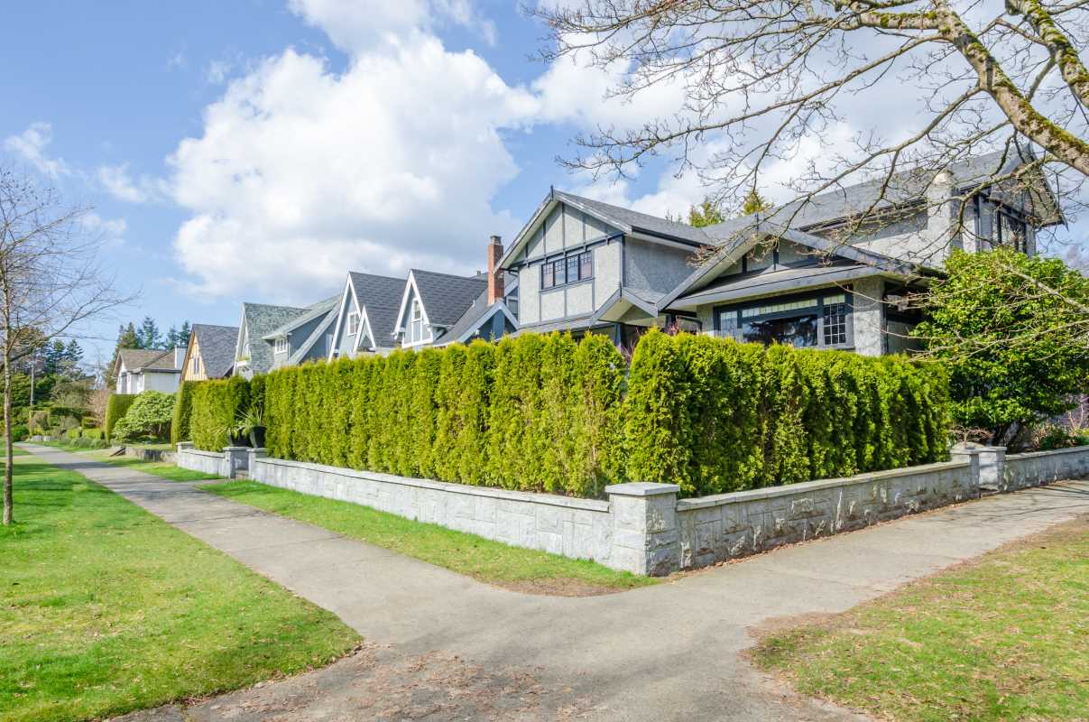 Adding Privacy to Your Home Office Windows with Landscaping Solutions