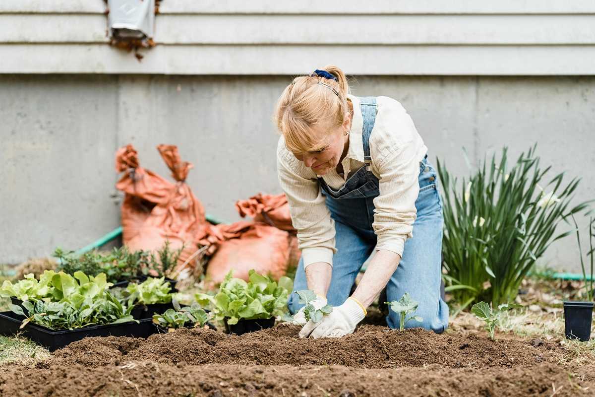 How Gardening During Breaks Can Boost Your Focus